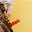 Handyman repair service in Chicago, IL for home fixes and improvements